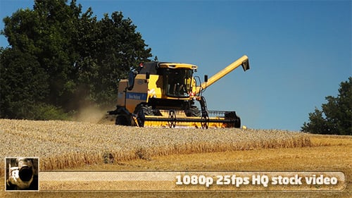 Harvest 1