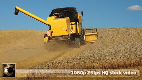 Harvest 3