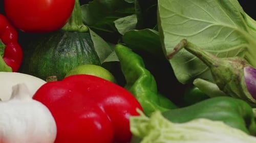Close Up of Fresh Vegetables Panning Shot