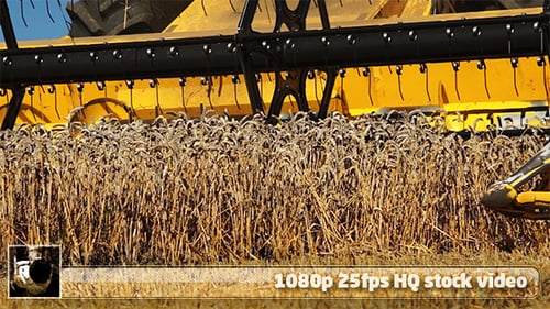 Harvest 5