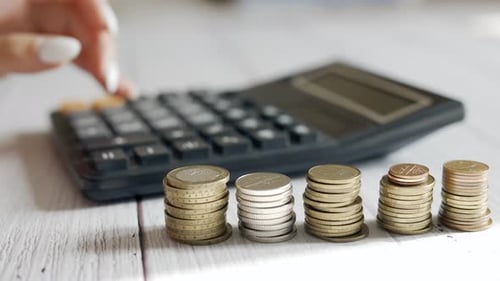 A Woman is Calculating Her Expenses for a Month