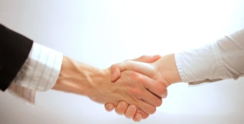 Aperto de mão de negócios