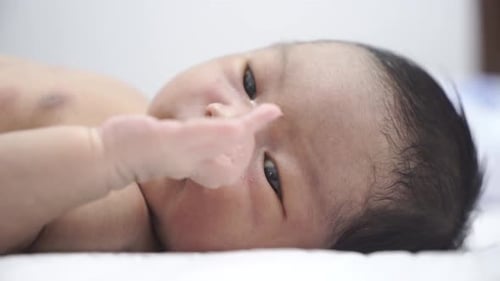 Baby Lying on Back Examining Hand