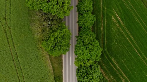 Droneshot - upswing the camera and following a car driving along a road to a city next to idyllic gr