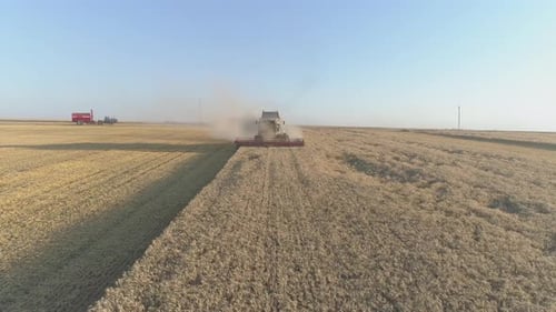 Aerial view of a combine harvesting