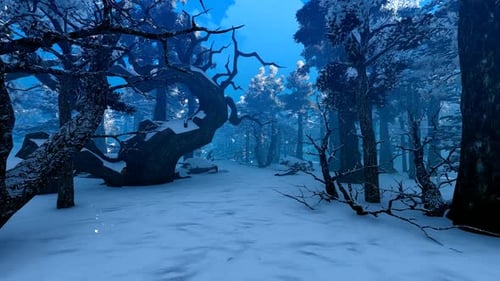 Feenhafter Winterwald