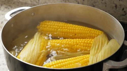 Corn on the Cob Boiling in Pot of Water