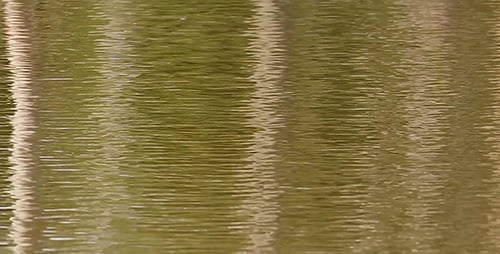 Ripple-Zusammenfassung 3