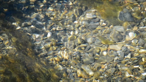 Fondo del río
