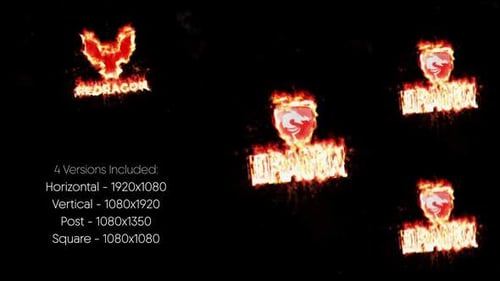 Presentación de Phoenix Surge