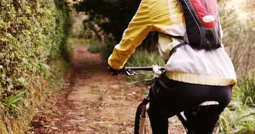 Male mountain biker riding in the forest