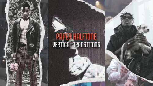 Vertical Paper Halftone Transitions | MOGRT