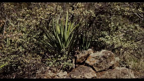 Aufnahmen aus dem südwestlichen Teil von Sedona, aufgenommen auf RED Epic