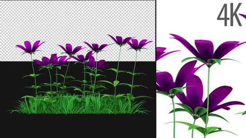 Blumenbeet wächst