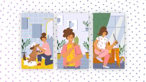 Pets - Vertical Media Content