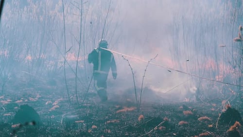 Firefighters in Equipment Extinguish Forest Fire with Fire Hose. Slow Motion