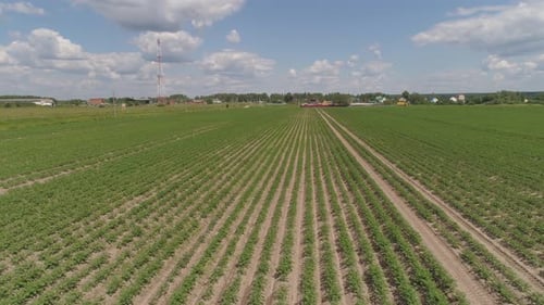 Aerial View of Farmland