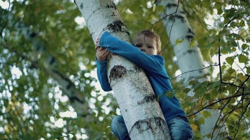 Kind klettert auf den Baum. Nahaufnahme.