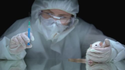 Lab Technician Holds Rat with Syringe for Experiment