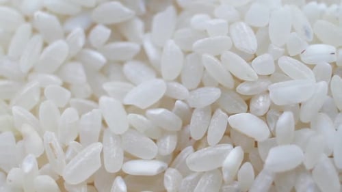 Rotation of a White Rice
