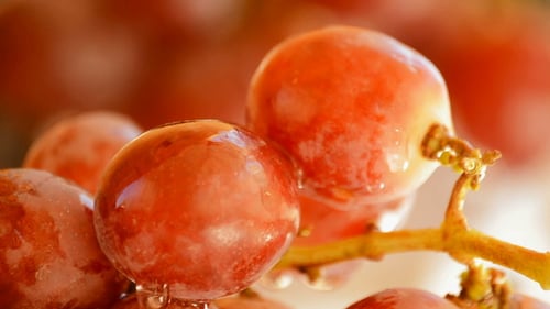 Red Grapes