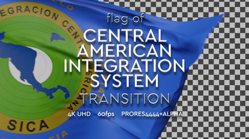 Fluid Cloth Reveal Transition