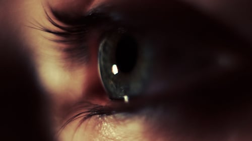 Eye