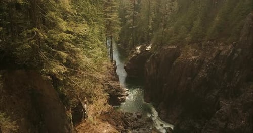 Aerial view of water stream surrounded by green forest