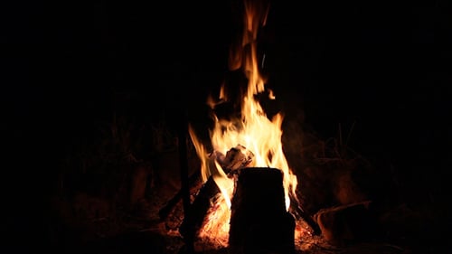 Camp Fire