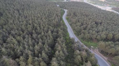 Aerial Forest Road