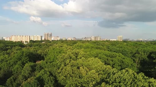 Luftaufnahme eines großen Parks in einer modernen Stadt
