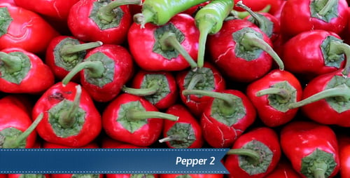 Pepper