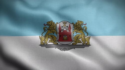 Realistic Waving Flag with Detailed City Coat of Arms