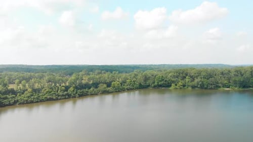 drone flight forward to the horizon and tree line in a forest full of green leaves under a blue sky
