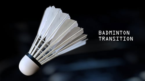 Badminton Transition Sports