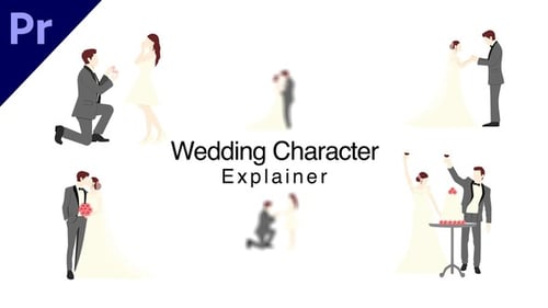 Wedding Character Explainer