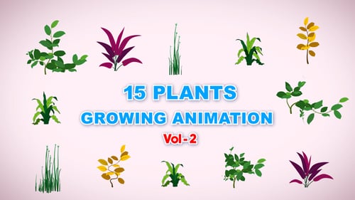 Animated Growing Plants Pack for Botanical Videos