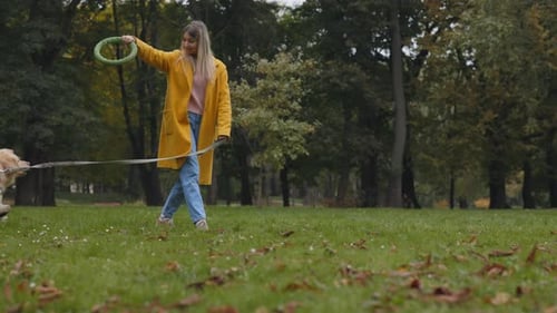 Woman Using Rubber Puller for Training Her Dog at Park