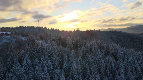 Aerial winter landscape with small village houses between snow covered forest in cold