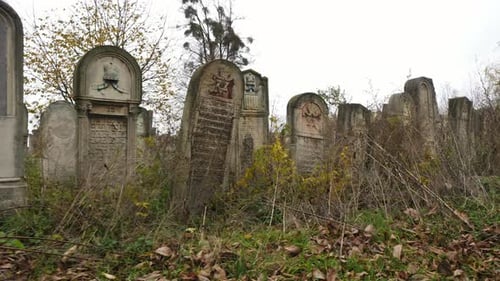 Old tombstones in a cemetery