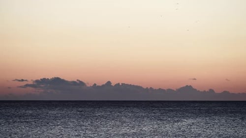 Sunset Sky and Birds over Sea