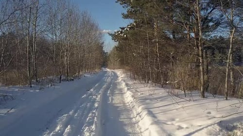 Aerial Motion Above Empty Rural Road in Winter Forest
