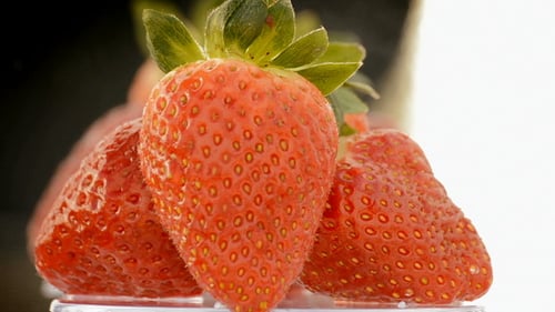 Strawberries Fruit Loop