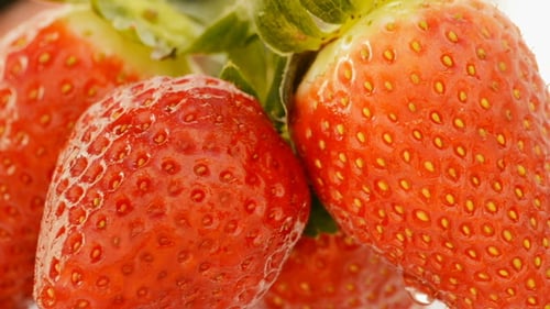 Delicious Strawberries Close Up Loop