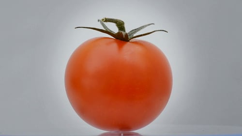 Tomatoe Cherry Rotating