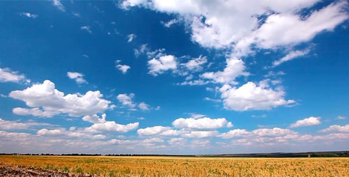 Summer Landscape 8