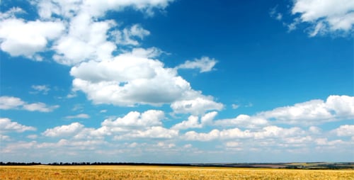 Summer Landscape 12