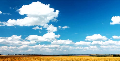 Summer Landscape 13