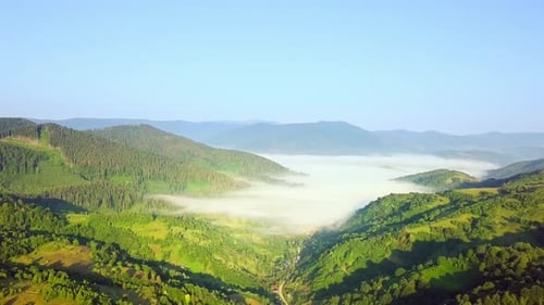 Aerial View of the Endless Lush Pastures of the Carpathian Expanses and Agricultural Land