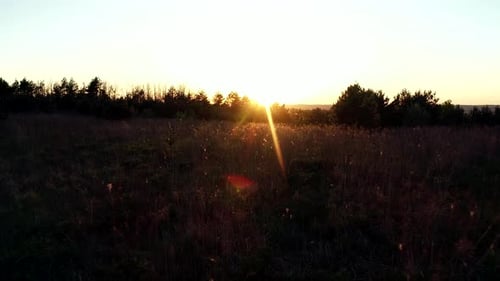 Golden Sunset Over Rural Landscape